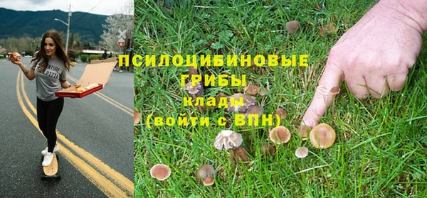 дживик Алексин
