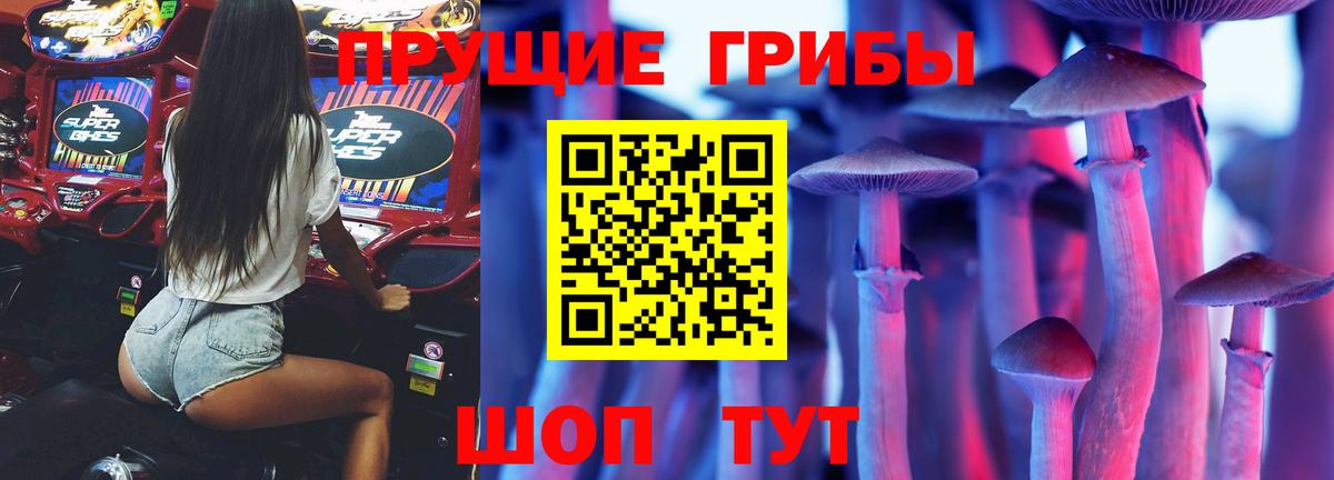 Домодедово  купить   Вход с VPN  Псилоцибиновые грибы MAGIC MUSHROOMS 